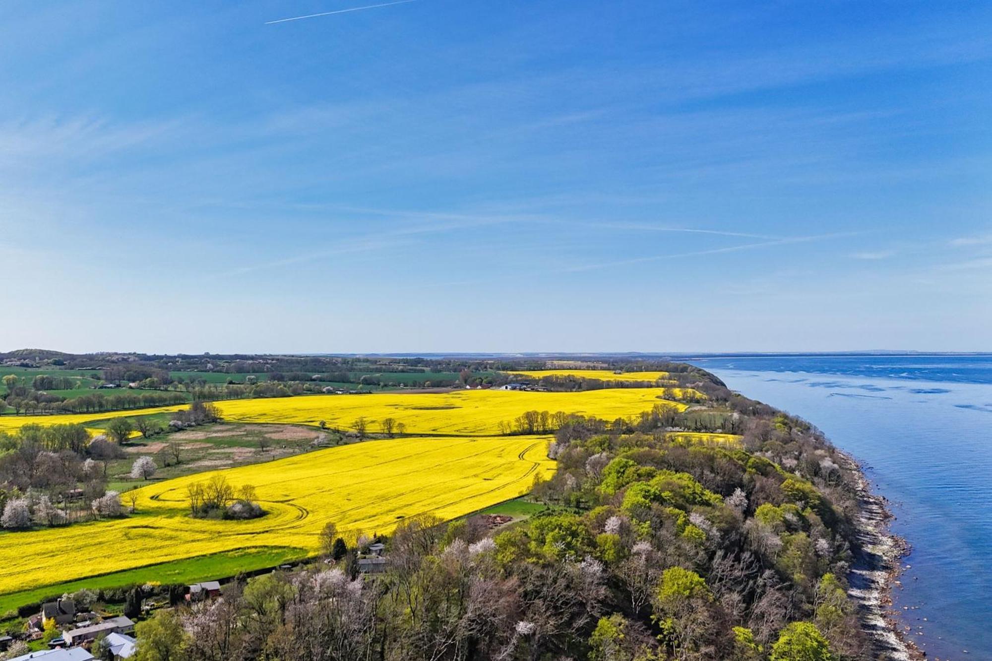 Ferienwohnung Mit Traumhaftem Meerblick - Haus Am Meer Fewo 11 Lohme Zewnętrze zdjęcie